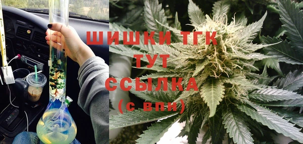 стаф Вязники