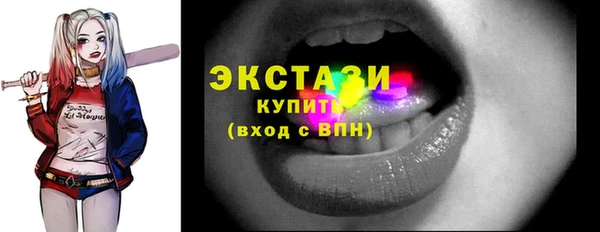 круглые Гусев