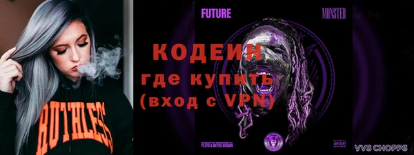 эйфоретик Вяземский