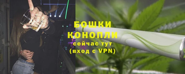 эйфоретик Вяземский