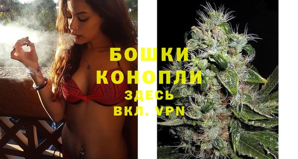 круглые Гусев