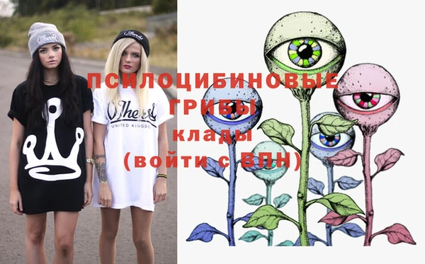 эйфоретик Вяземский