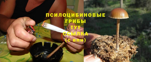 а пвп мука Вязьма